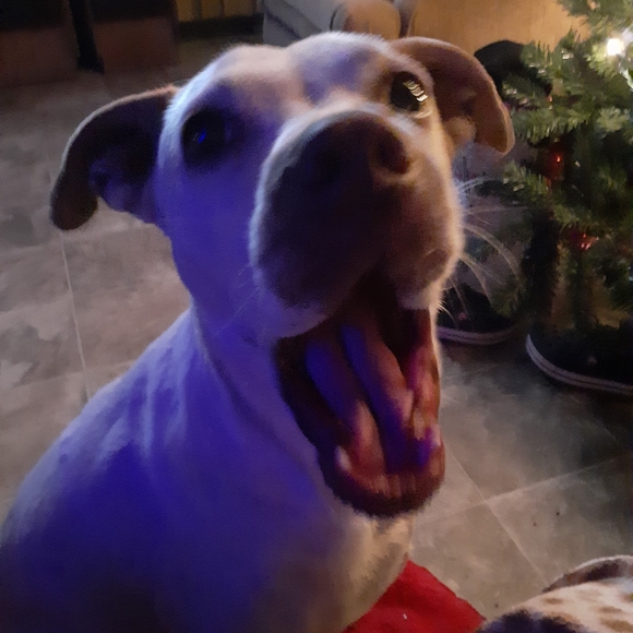 Meet your Posher, Michelle - Picture 7 of 7